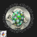 Adjustable resin ring